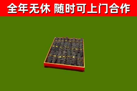 通城县回收海参